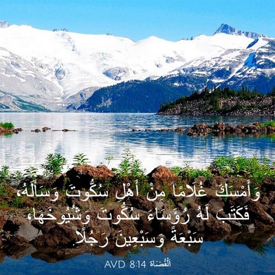 Picture 03 - اَلْقُضَاة 8:14 AVD - وَأَمْسَكَ غُلَامًا مِنْ - Bible Verse Picture