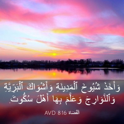 Picture 03 - اَلْقُضَاة 8:16 AVD - وَأَخَذَ شُيُوخَ - Bible Verse Picture