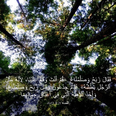 Picture 03 - اَلْقُضَاة 8:21 AVD - فَقَالَ زَبَحُ - Bible Verse Picture
