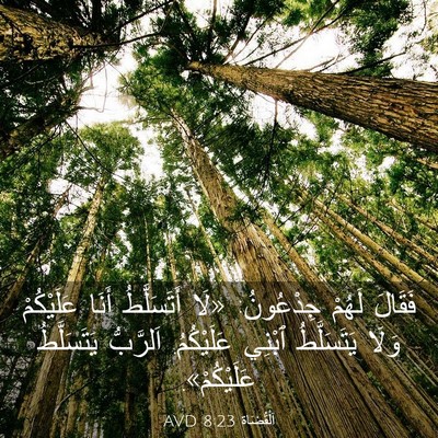 Picture 03 - اَلْقُضَاة 8:23 AVD - فَقَالَ لَهُمْ جِدْعُونُ: - Bible Verse Picture