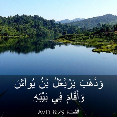 Picture 03 - اَلْقُضَاة 8:29 AVD - وَذَهَبَ يَرُبَّعْلُ بْنُ - Bible Verse Picture