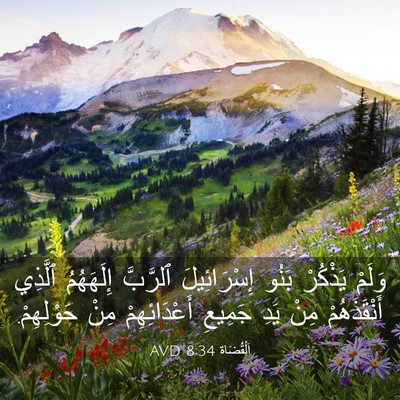 Picture 03 - اَلْقُضَاة 8:34 AVD - وَلَمْ يَذْكُرْ بَنُو - Bible Verse Picture