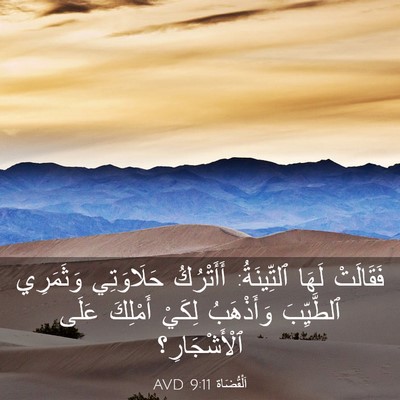 Picture 03 - اَلْقُضَاة 9:11 AVD - فَقَالَتْ لَهَا - Bible Verse Picture