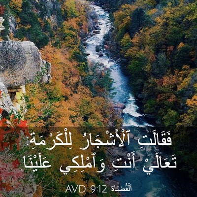 Picture 03 - اَلْقُضَاة 9:12 AVD - فَقَالَتِ ٱلْأَشْجَارُ - Bible Verse Picture