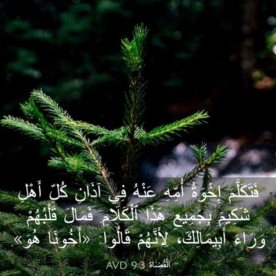 Picture 03 - اَلْقُضَاة 9:3 AVD - فَتَكَلَّمَ إِخْوَةُ - Bible Verse Picture