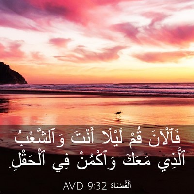 Picture 03 - اَلْقُضَاة 9:32 AVD - فَٱلْآنَ قُمْ لَيْلًا - Bible Verse Picture