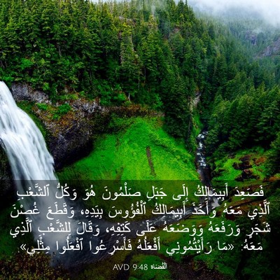 Picture 03 - اَلْقُضَاة 9:48 AVD - فَصَعِدَ أَبِيمَالِكُ - Bible Verse Picture