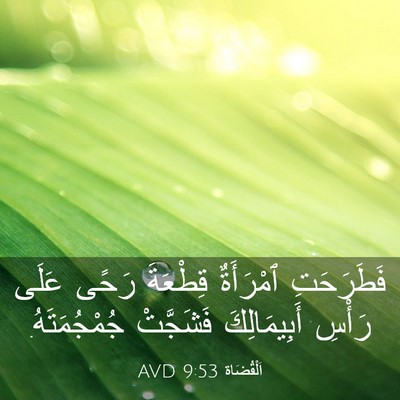 Picture 03 - اَلْقُضَاة 9:53 AVD - فَطَرَحَتِ ٱمْرَأَةٌ - Bible Verse Picture