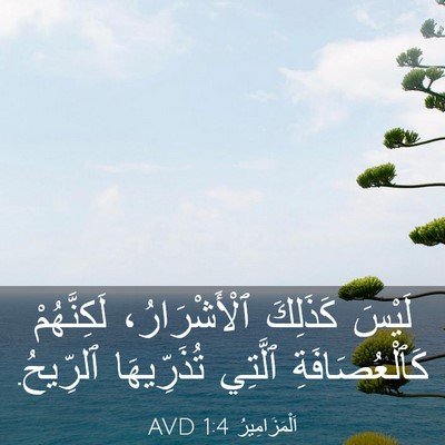 Picture 03 - اَلْمَزَامِيرُ 1:4 AVD - لَيْسَ كَذَلِكَ - Bible Verse Picture