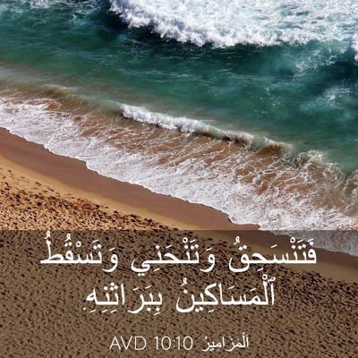 Picture 03 - اَلْمَزَامِيرُ 10:10 AVD - فَتَنْسَحِقُ وَتَنْحَنِي - Bible Verse Picture