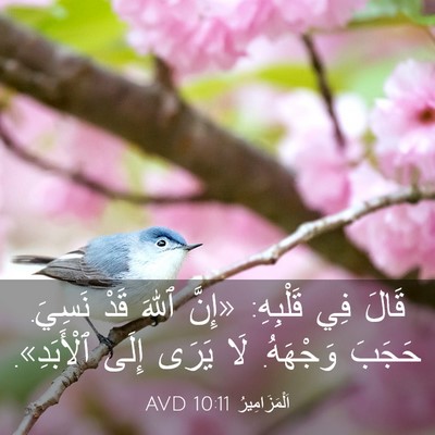 Picture 03 - اَلْمَزَامِيرُ 10:11 AVD - قَالَ فِي قَلْبِهِ: «إِنَّ - Bible Verse Picture