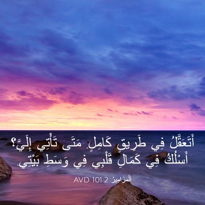 Picture 03 - اَلْمَزَامِيرُ 101:2 AVD - أَتَعَقَّلُ فِي طَرِيقٍ - Bible Verse Picture