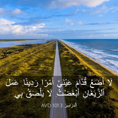 Picture 03 - اَلْمَزَامِيرُ 101:3 AVD - لَا أَضَعُ قُدَّامَ - Bible Verse Picture