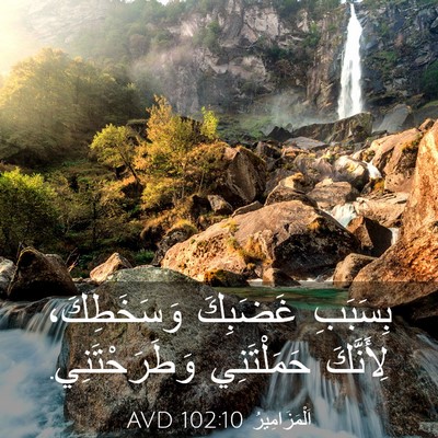 Picture 03 - اَلْمَزَامِيرُ 102:10 AVD - بِسَبَبِ غَضَبِكَ - Bible Verse Picture