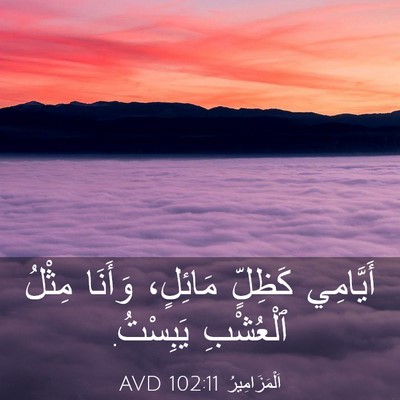 Picture 03 - اَلْمَزَامِيرُ 102:11 AVD - أَيَّامِي كَظِلٍّ - Bible Verse Picture