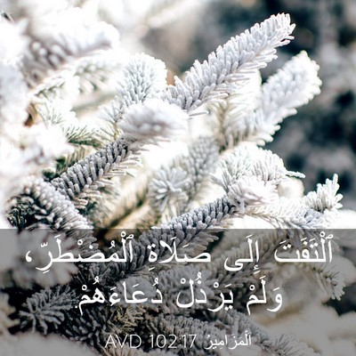 Picture 03 - اَلْمَزَامِيرُ 102:17 AVD - ٱلْتَفَتَ إِلَى صَلَاةِ - Bible Verse Picture