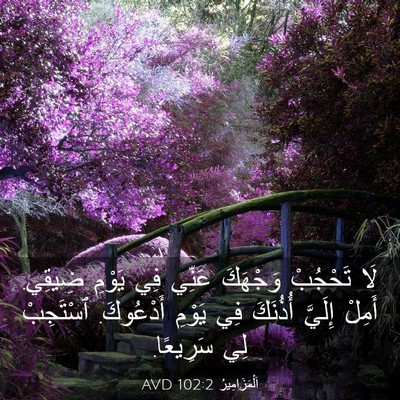 Picture 03 - اَلْمَزَامِيرُ 102:2 AVD - لَا تَحْجُبْ وَجْهَكَ - Bible Verse Picture
