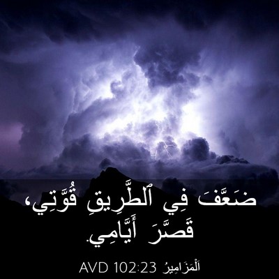 Picture 03 - اَلْمَزَامِيرُ 102:23 AVD - ضَعَّفَ فِي ٱلطَّرِيقِ - Bible Verse Picture