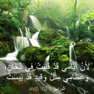 Picture 03 - اَلْمَزَامِيرُ 102:3 AVD - لِأَنَّ أَيَّامِي قَدْ - Bible Verse Picture