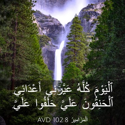 Picture 03 - اَلْمَزَامِيرُ 102:8 AVD - ٱلْيَوْمَ كُلَّهُ - Bible Verse Picture