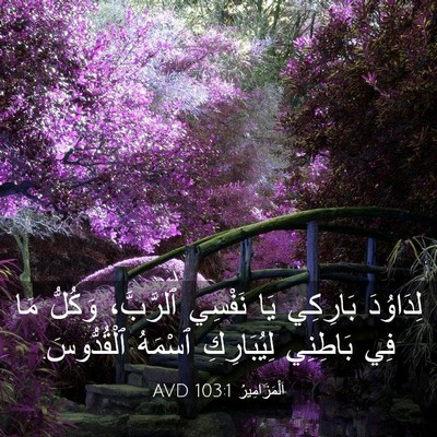 Picture 03 - اَلْمَزَامِيرُ 103:1 AVD - لِدَاوُدَ بَارِكِي يَا - Bible Verse Picture