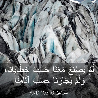Picture 03 - اَلْمَزَامِيرُ 103:10 AVD - لَمْ يَصْنَعْ مَعَنَا - Bible Verse Picture