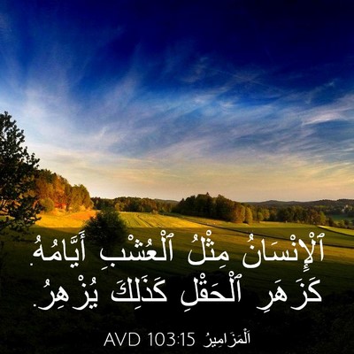 Picture 03 - اَلْمَزَامِيرُ 103:15 AVD - ٱلْإِنْسَانُ مِثْلُ - Bible Verse Picture
