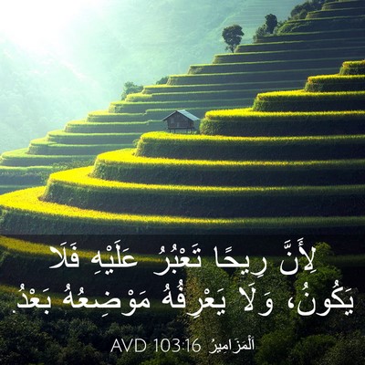 Picture 03 - اَلْمَزَامِيرُ 103:16 AVD - لِأَنَّ رِيحًا تَعْبُرُ - Bible Verse Picture