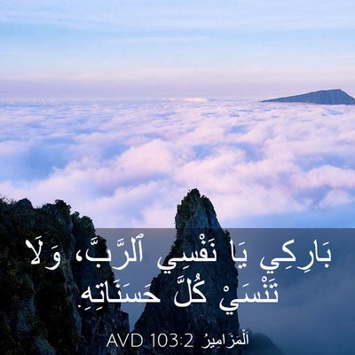 Picture 03 - اَلْمَزَامِيرُ 103:2 AVD - بَارِكِي يَا نَفْسِي - Bible Verse Picture