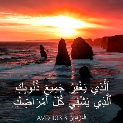 Picture 03 - اَلْمَزَامِيرُ 103:3 AVD - ٱلَّذِي يَغْفِرُ جَمِيعَ - Bible Verse Picture