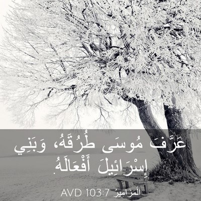 Picture 03 - اَلْمَزَامِيرُ 103:7 AVD - عَرَّفَ مُوسَى طُرُقَهُ، - Bible Verse Picture