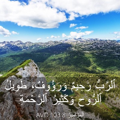 Picture 03 - اَلْمَزَامِيرُ 103:8 AVD - ٱلرَّبُّ رَحِيمٌ - Bible Verse Picture