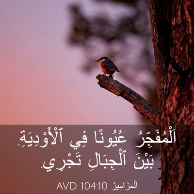 Picture 03 - اَلْمَزَامِيرُ 104:10 AVD - اَلْمُفَجِّرُ عُيُونًا - Bible Verse Picture