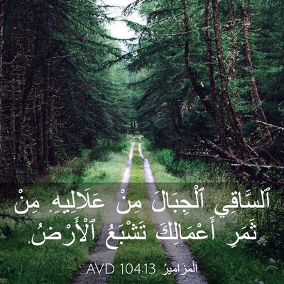 Picture 03 - اَلْمَزَامِيرُ 104:13 AVD - ٱلسَّاقِي ٱلْجِبَالَ مِنْ - Bible Verse Picture