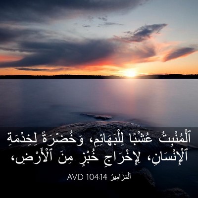 Picture 03 - اَلْمَزَامِيرُ 104:14 AVD - ٱلْمُنْبِتُ عُشْبًا - Bible Verse Picture