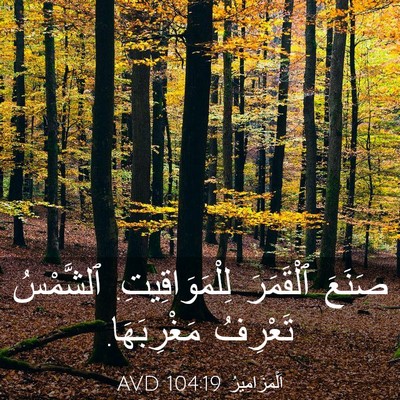 Picture 03 - اَلْمَزَامِيرُ 104:19 AVD - صَنَعَ ٱلْقَمَرَ - Bible Verse Picture
