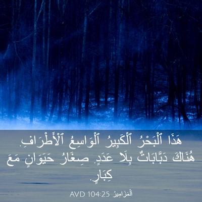Picture 03 - اَلْمَزَامِيرُ 104:25 AVD - هَذَا ٱلْبَحْرُ - Bible Verse Picture