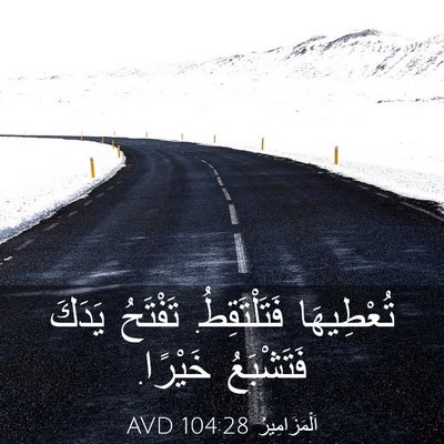 Picture 03 - اَلْمَزَامِيرُ 104:28 AVD - تُعْطِيهَا فَتَلْتَقِطُ. - Bible Verse Picture