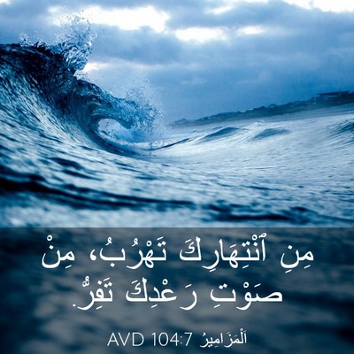 Picture 03 - اَلْمَزَامِيرُ 104:7 AVD - مِنِ ٱنْتِهَارِكَ - Bible Verse Picture