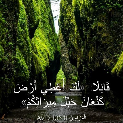 Picture 03 - اَلْمَزَامِيرُ 105:11 AVD - قَائِلًا: «لَكَ أُعْطِي - Bible Verse Picture