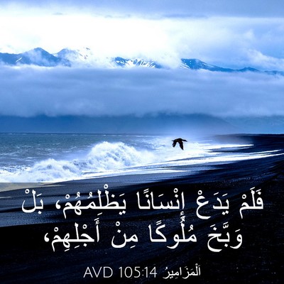 Picture 03 - اَلْمَزَامِيرُ 105:14 AVD - فَلَمْ يَدَعْ إِنْسَانًا - Bible Verse Picture