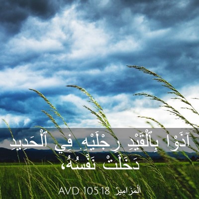 Picture 03 - اَلْمَزَامِيرُ 105:18 AVD - آذَوْا بِٱلْقَيْدِ - Bible Verse Picture