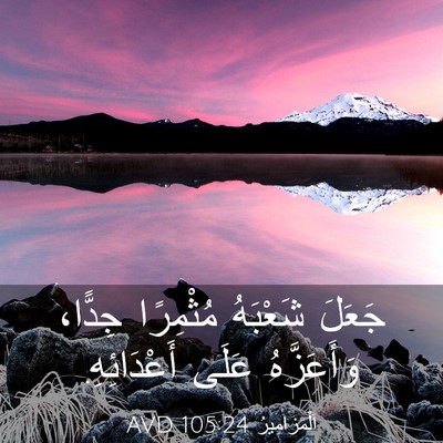 Picture 03 - اَلْمَزَامِيرُ 105:24 AVD - جَعَلَ شَعْبَهُ مُثْمِرًا - Bible Verse Picture