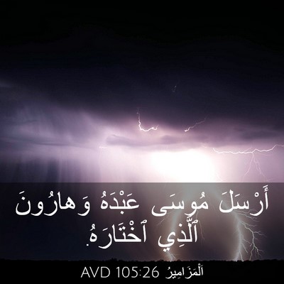 Picture 03 - اَلْمَزَامِيرُ 105:26 AVD - أَرْسَلَ مُوسَى عَبْدَهُ - Bible Verse Picture