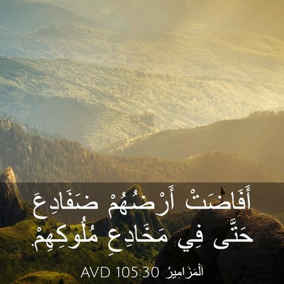 Picture 03 - اَلْمَزَامِيرُ 105:30 AVD - أَفَاضَتْ أَرْضُهُمْ - Bible Verse Picture