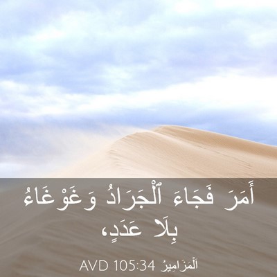 Picture 03 - اَلْمَزَامِيرُ 105:34 AVD - أَمَرَ فَجَاءَ ٱلْجَرَادُ - Bible Verse Picture