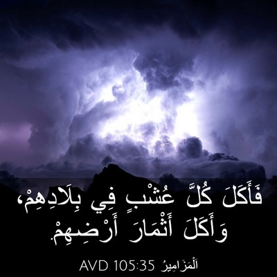 Picture 03 - اَلْمَزَامِيرُ 105:35 AVD - فَأَكَلَ كُلَّ عُشْبٍ فِي - Bible Verse Picture