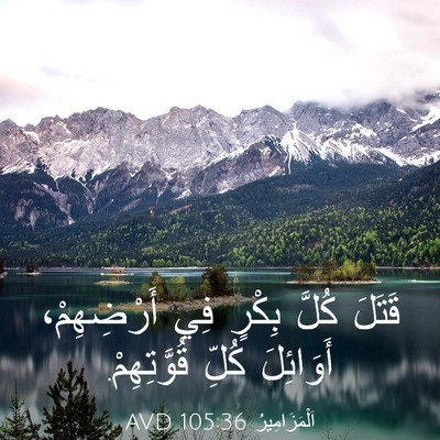 Picture 03 - اَلْمَزَامِيرُ 105:36 AVD - قَتَلَ كُلَّ بِكْرٍ فِي - Bible Verse Picture