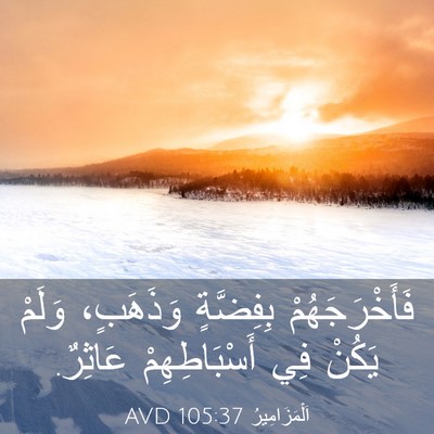 Picture 03 - اَلْمَزَامِيرُ 105:37 AVD - فَأَخْرَجَهُمْ بِفِضَّةٍ - Bible Verse Picture