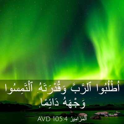 Picture 03 - اَلْمَزَامِيرُ 105:4 AVD - اُطْلُبُوا ٱلرَّبَّ - Bible Verse Picture